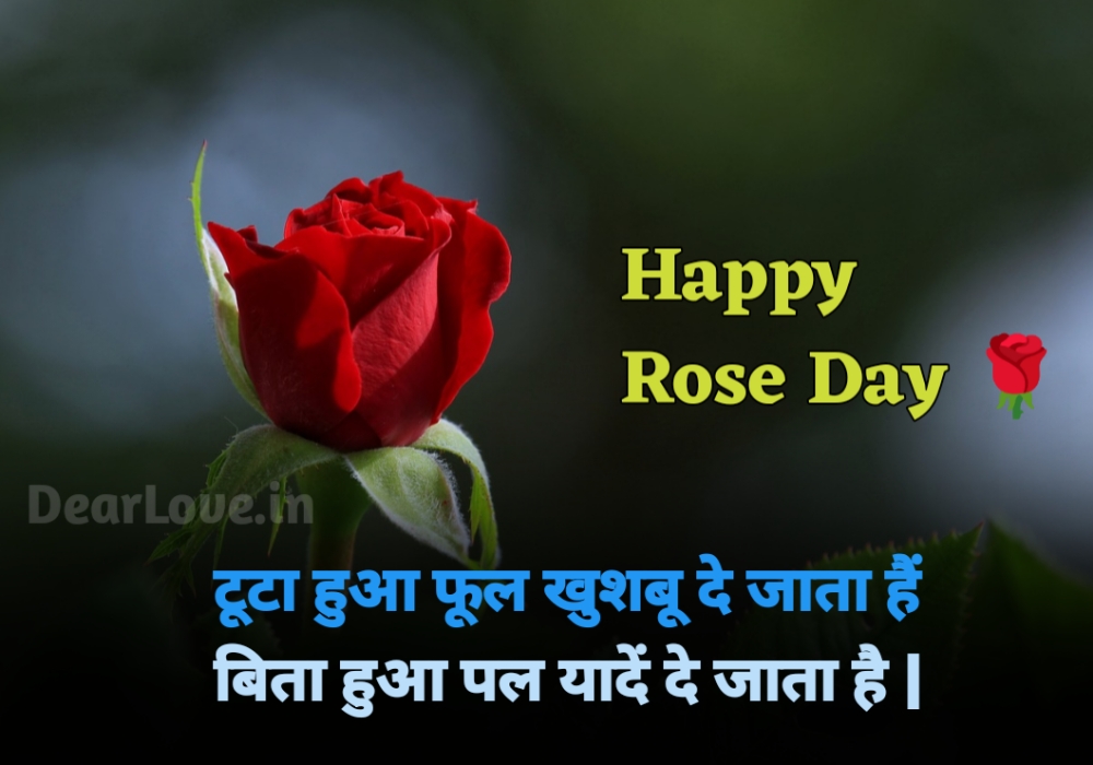 happy rose day Valentine Week List 2025 - Valentine Quotes and Wishes